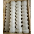 Nylon  Roller Brush for Potato Washing  and Peeling Machine